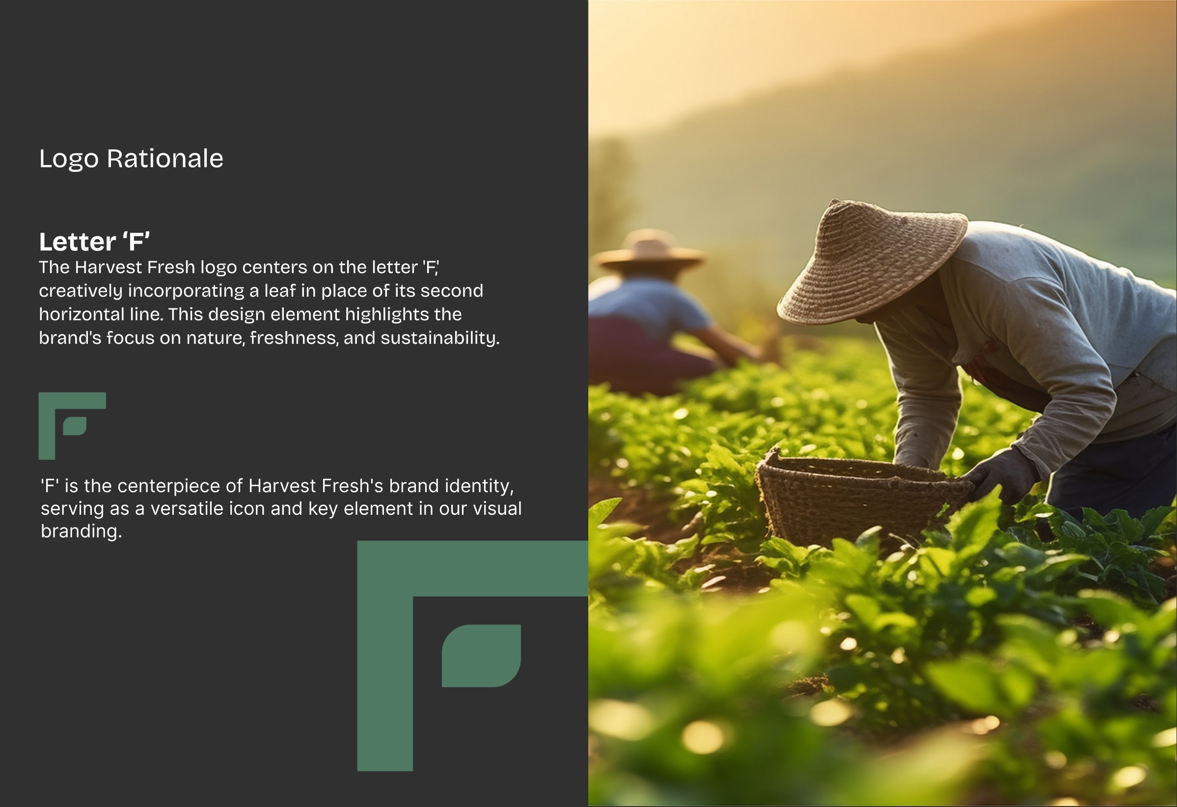 Harvest Fresh logo rationale — the letter F redrawn with a leaf, over a farm photograph